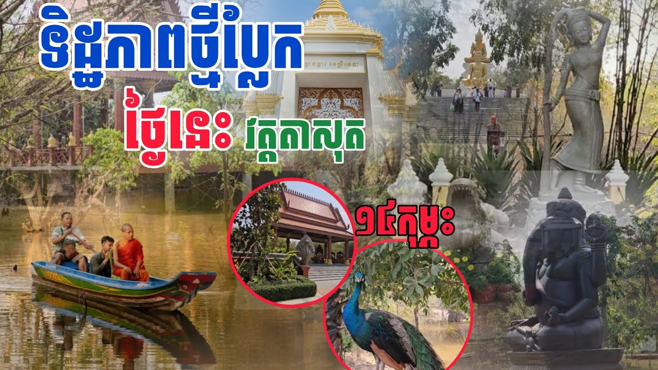 ទិដ្ឋភាព​ថ្មី ប្លែក​វត្តតាសុត ថ្ងៃនេះ​១៤កុម្ភះ