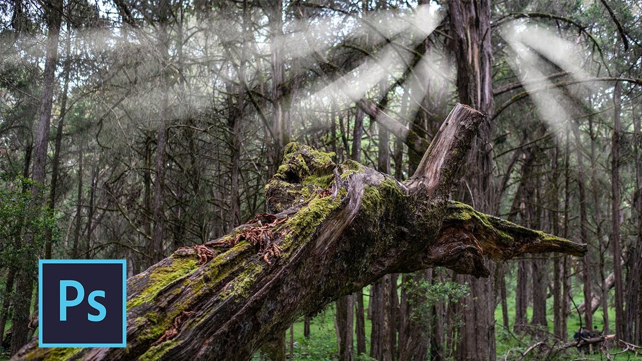 How to Apply Radial Blur Effect in Photoshop - Photoshop for Beginners Tutorial