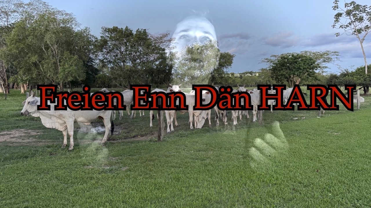 Gott Woat daut Doon George Schmidt
