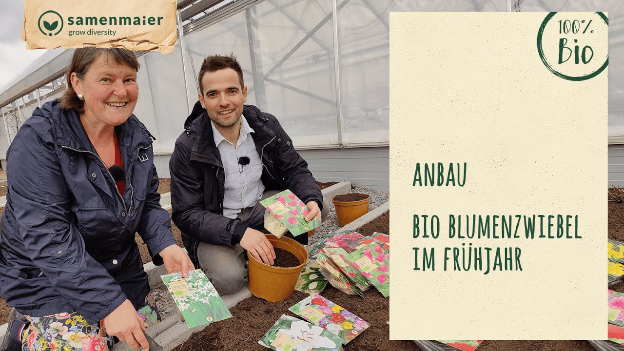 Anbau BIO Blumenzwiebel im Frühjahr 🌼🌸