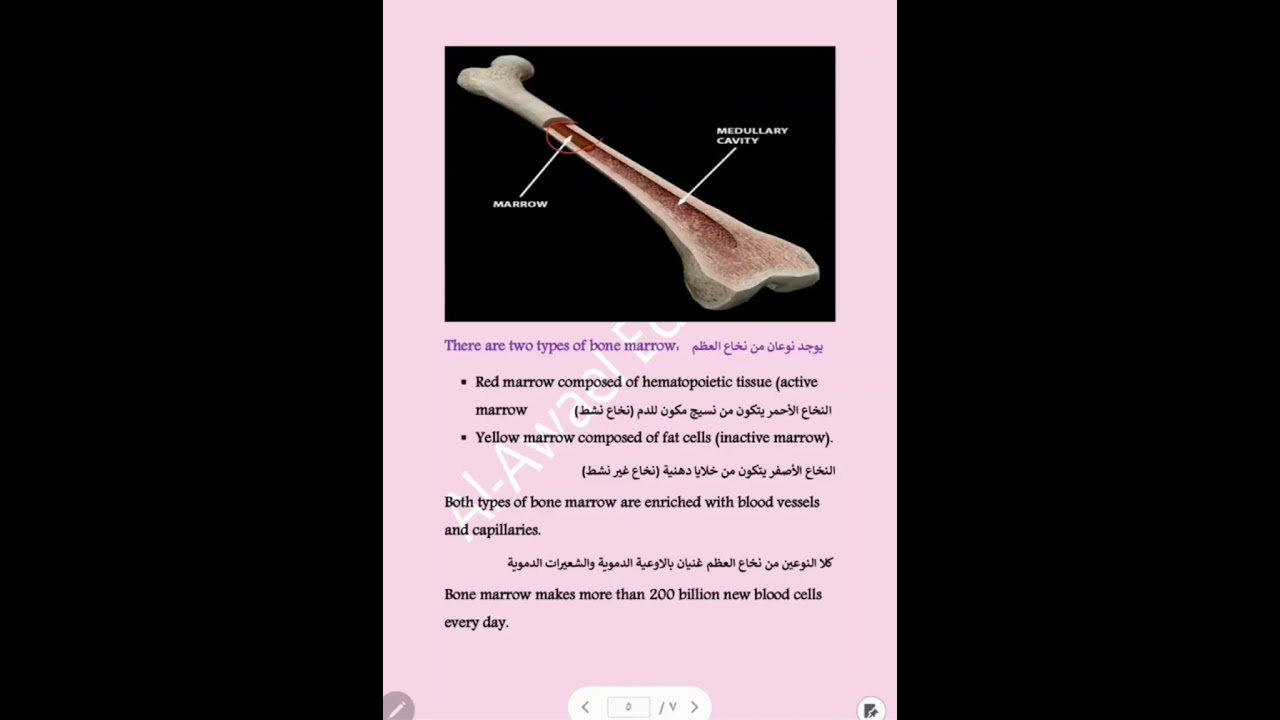  منهج الوزارة لمادة طب باطني  محاضرة أولى(جزء الأول) مرحلة ثانية 