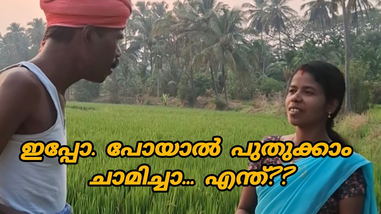 ഇപ്പോ പോയാൽ പുതുക്കാം ചാമിച്ചാ... എന്താ കാര്യം?? 🙏 അക്ഷയ കേന്ദ്രങ്ങൾ വഴി ട്ടോളിൻ 