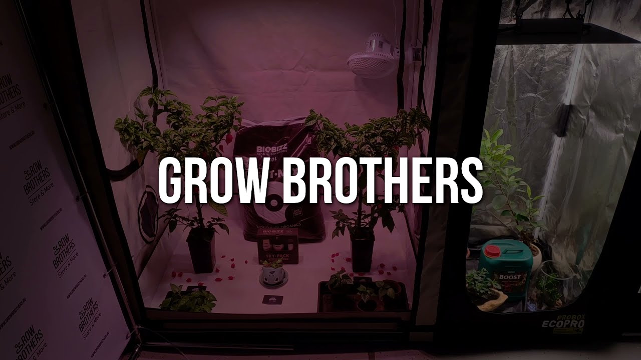 Выставка СитиФермер 2021 | Grow Brothers | Трейлер