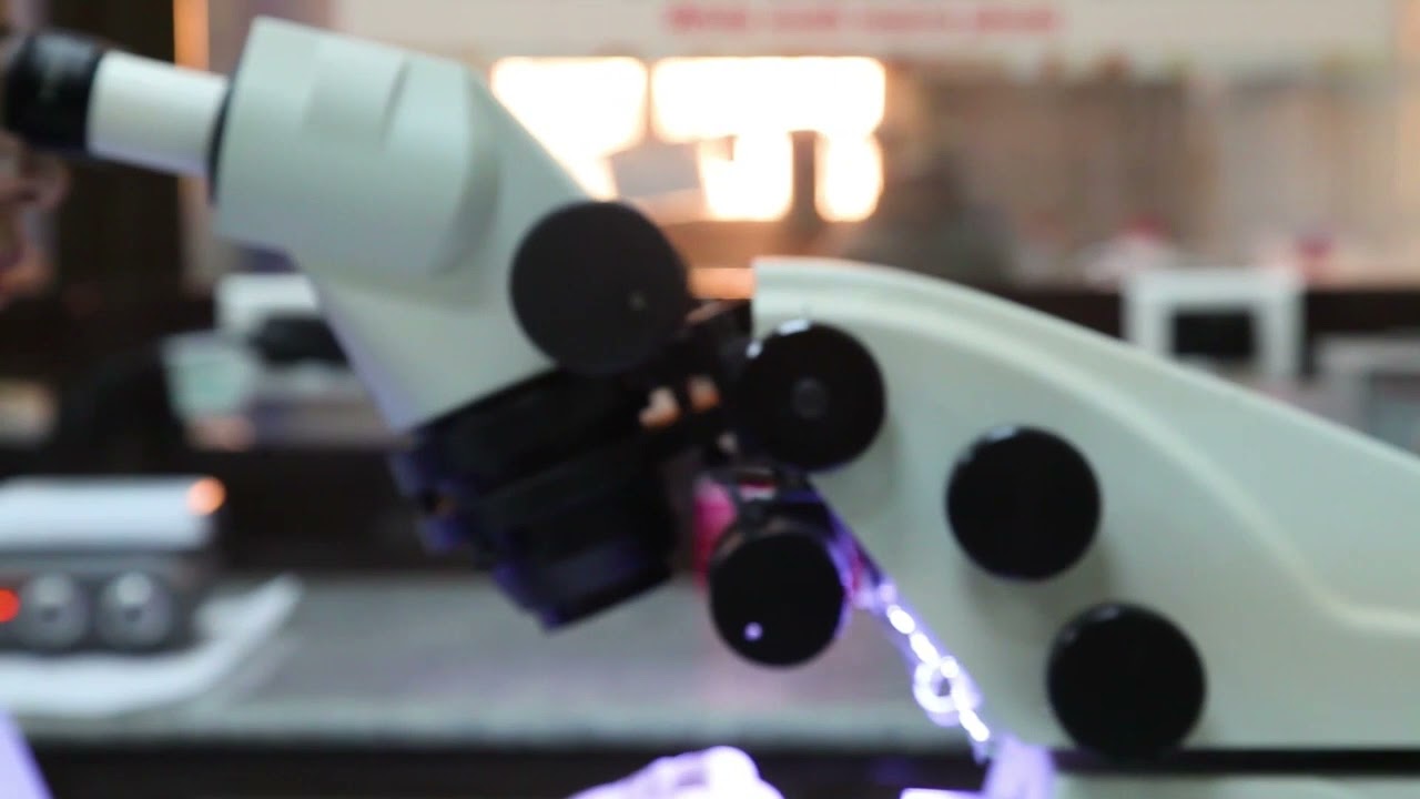 فيلم وثائقى عن كلية الزراعة بمناسبة احتفالات جامعة المنصورة باليوبيل الذهبى