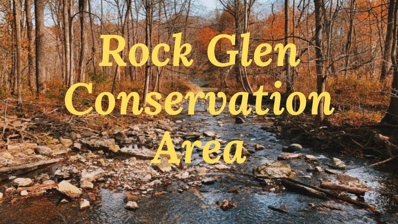 Rock Glen Conservation Area | Fossil Hunting | Trip from London Ontario