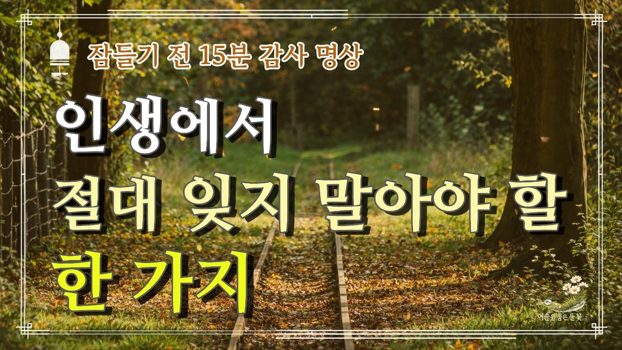 인생에서 절대 잊지 말아야 할 한 가지 | 잠들기 전, 소중한 인연을 향한 감사 명상