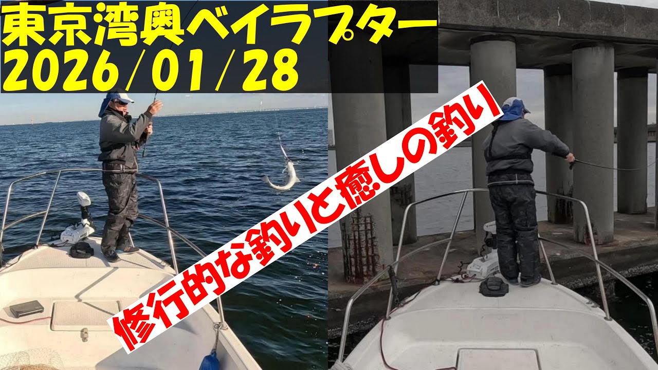 【東京湾ボートシーバス釣行記】令和８年１月２８、２９日　本格的に寒くなって来ましたが頑張れば釣れる東京湾でした。