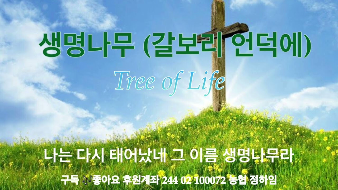 생명나무 [ 갈보리 언덕에 ] Tree of Life 성령님의 임재 은혜로운 1 시간 기도음악