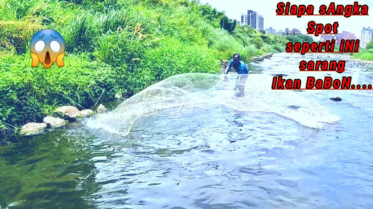 ŚWIETNIE...!!! łowienie ryb w płytkiej rzece, efekty są niezwykłe//poł&oacute;w siatką