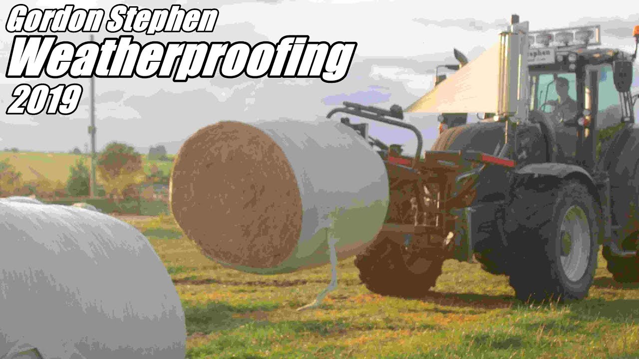 Weatherproofing By Gordon Stephen