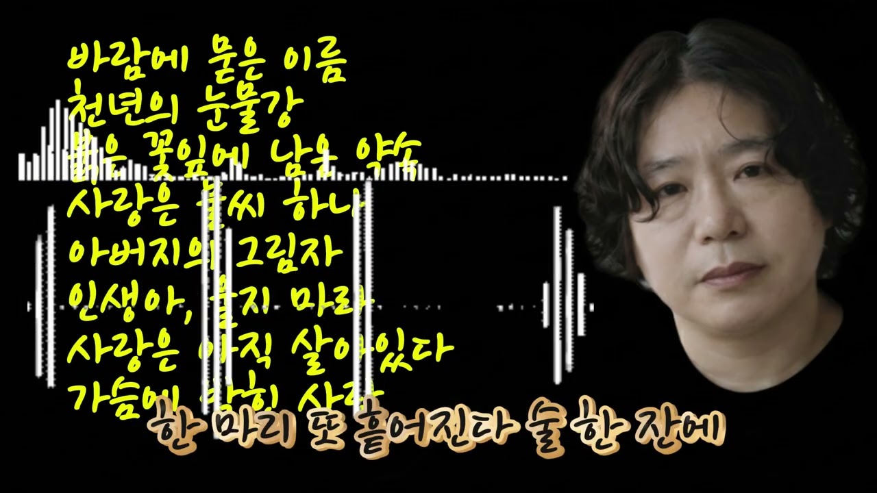 🎶 155집베스트 8곡 노래 모음