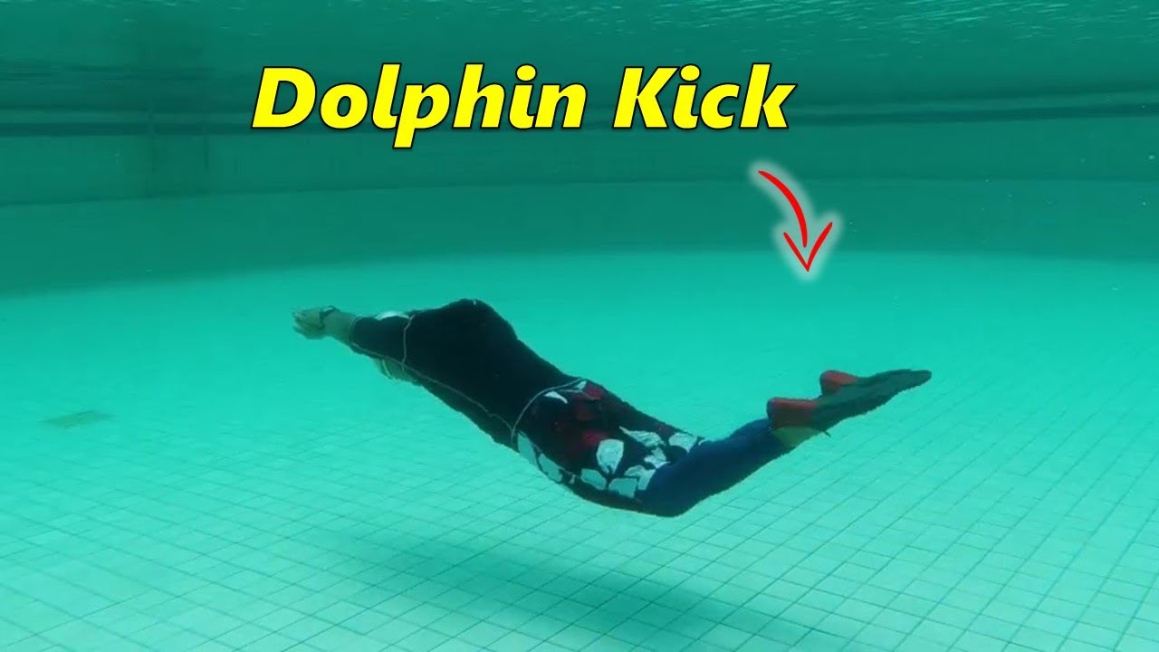 2020 - Renang Gaya Kupu-kupu untuk Pemula - Bagian 1, Dolphin Kick