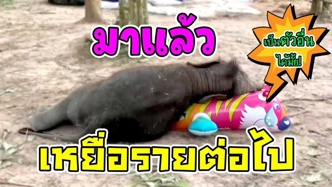 เปิดของเล่นชิ้นใหม่น้องมีนา 