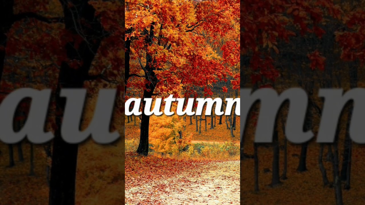 If fall comes soon... 🍂  #fall#autumnbgm#jazz #nolyricsbgm #nolyricsmusic