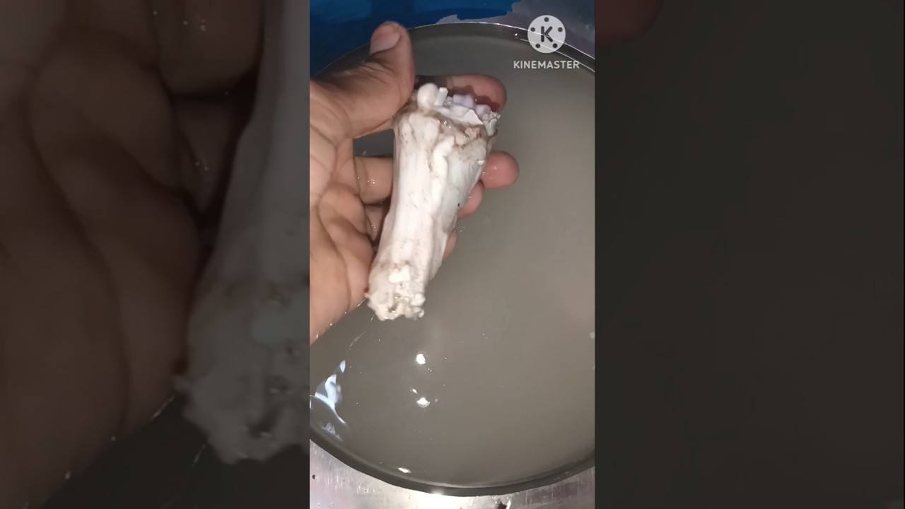 #Shorts#How To Clean Mutton Paya Tips#Shorts#How To Clean Goat Legs#Easy To Clean &Wash#youtube#