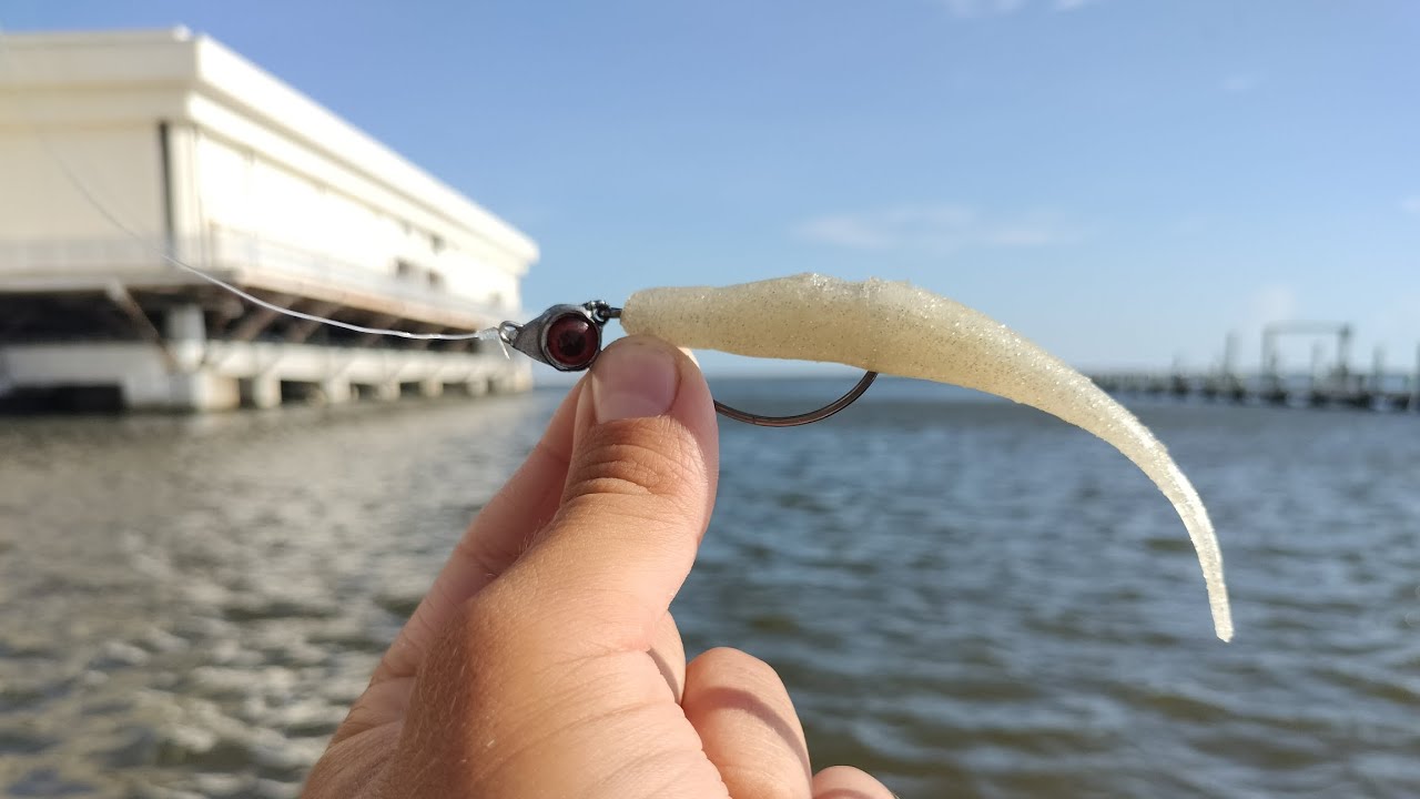 Fishing Casino Resorts in Mississippi for Flounder and Redfish! /Biloxi/