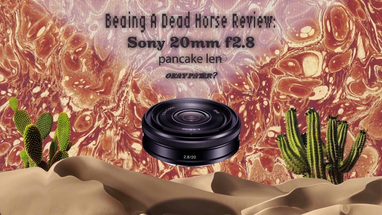 BEATING A DEAD HORSE: The Sony 20mm f 2.8 APSC E Mount Lens Review