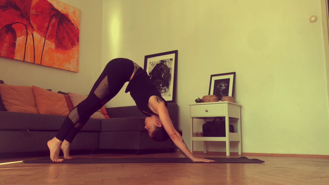 Joga Quarantine BASIC 4