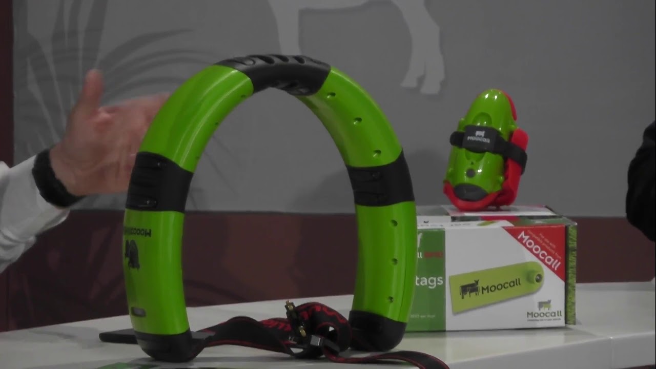 Moocall HEAT et Moocall capteurs de vêlage SOMMET 2018