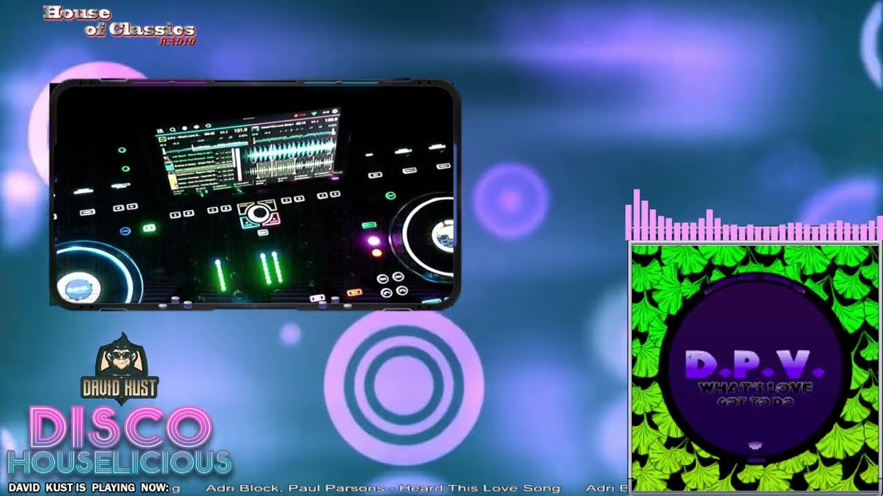 David Kust - DISCO HOUSELICIOUS LIVE SHOW 29-06-2024
