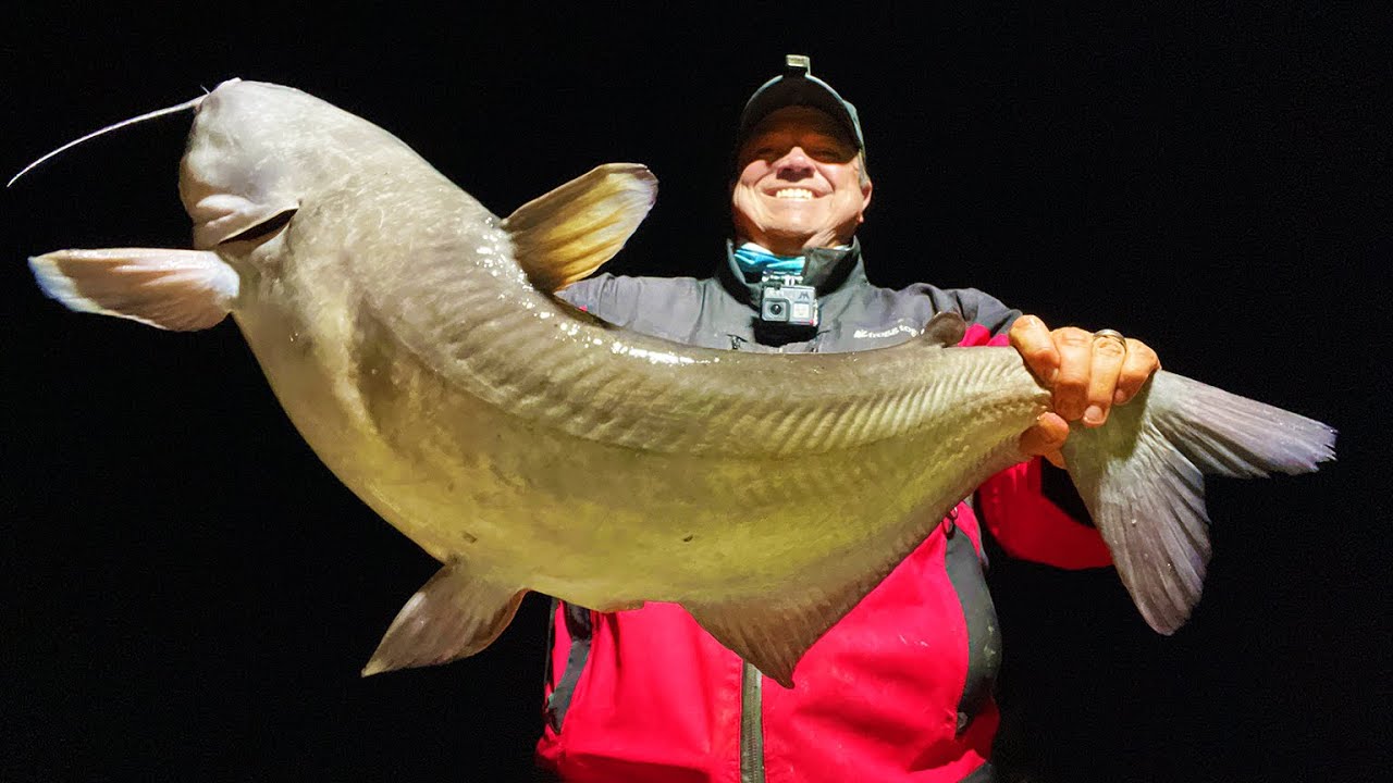 Fishing for Catfish at Night