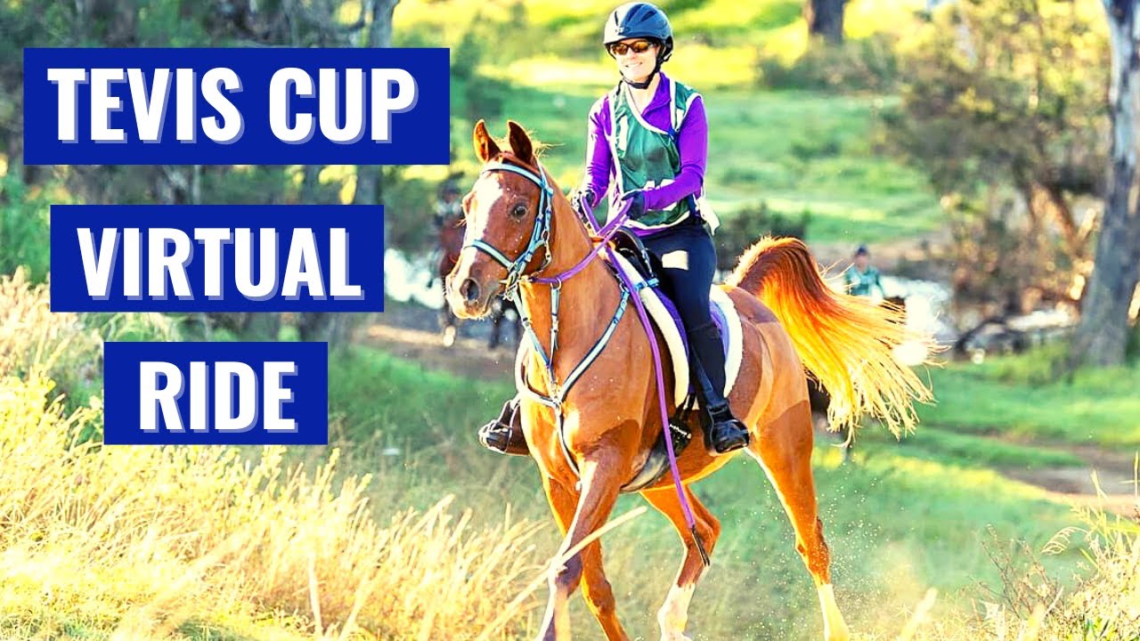 Tevis Cup Virtual Ride: A Thrilling Adventure