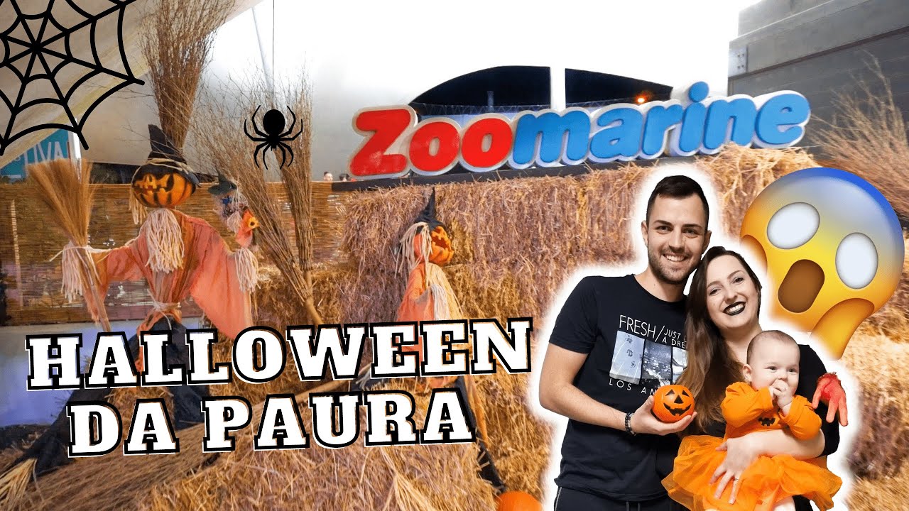 HALLOWEEN a ZOOMARINE! 🎃👻