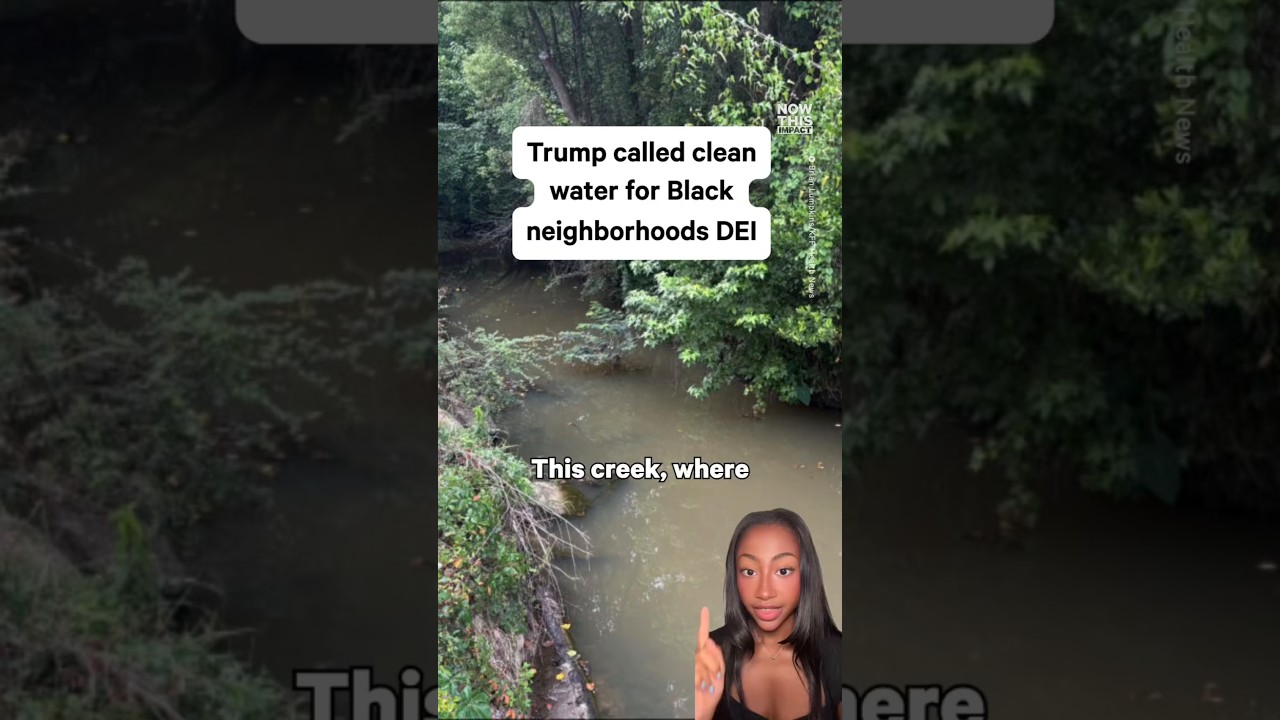 Trump Called Clean Water For Black Communities DEI?! 😳 #Politics #Trump #Breaking