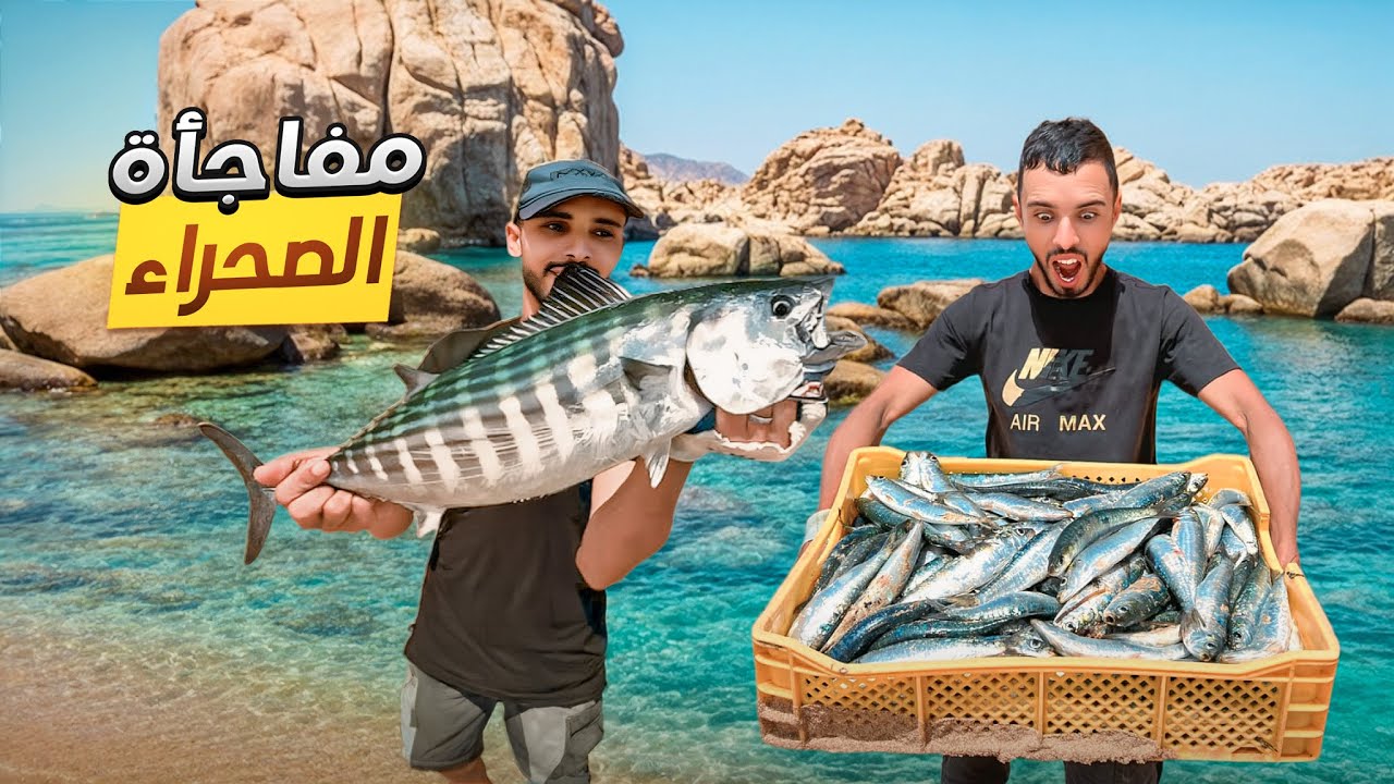 العيش الحر :صيد اكبر كمية من السردين في الصحراء🇲🇦وكانت المفاجأة 