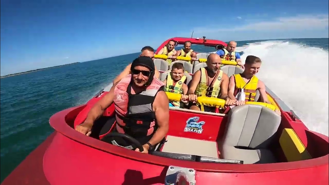 ironjet1 bibione