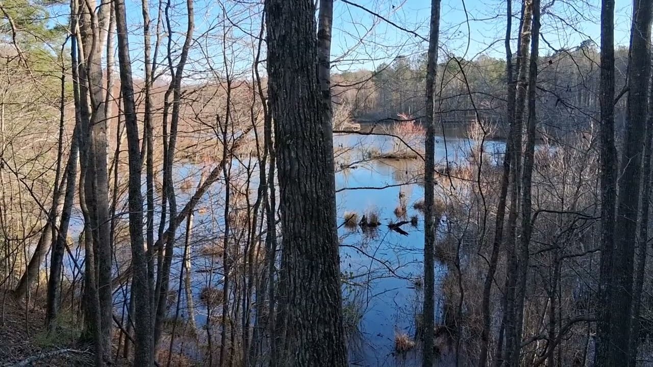 Embankments And Wetlands