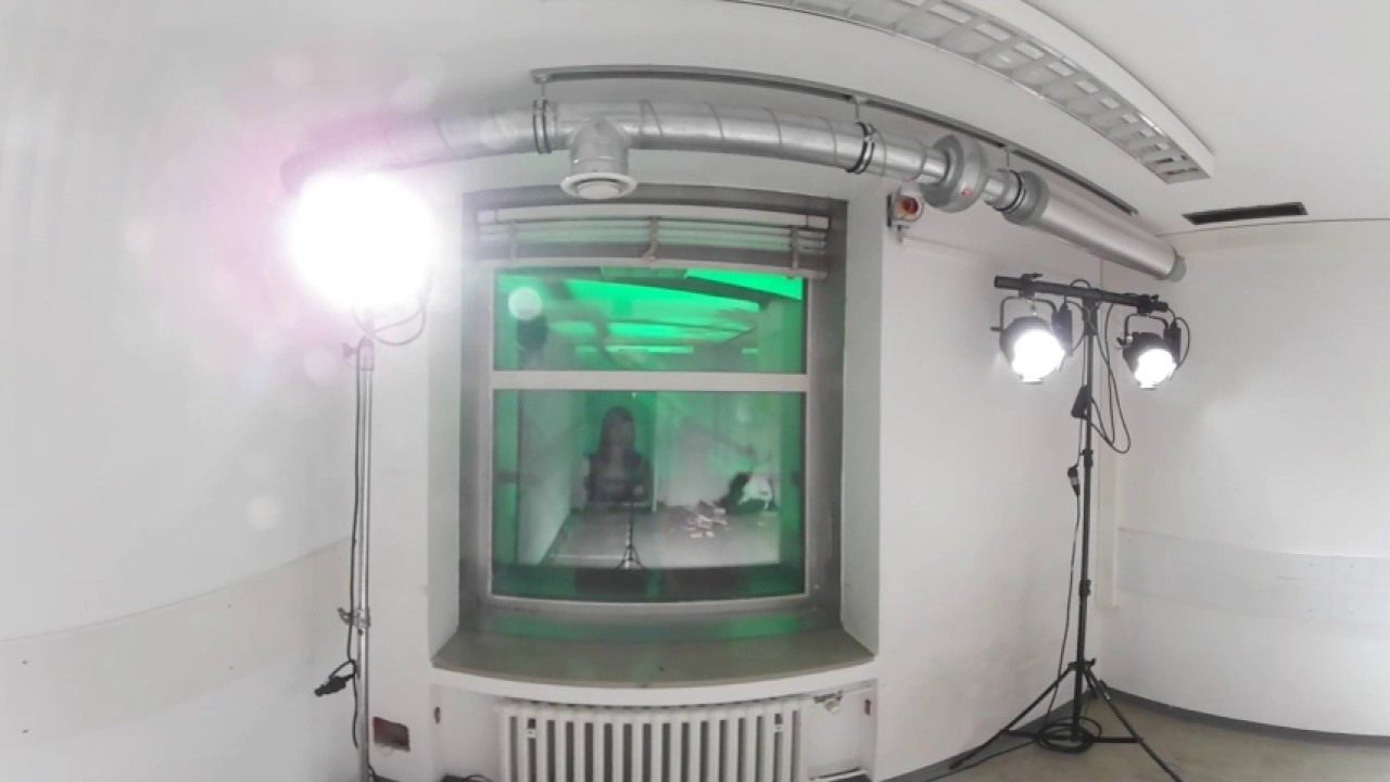 Shocking Shorts 2017