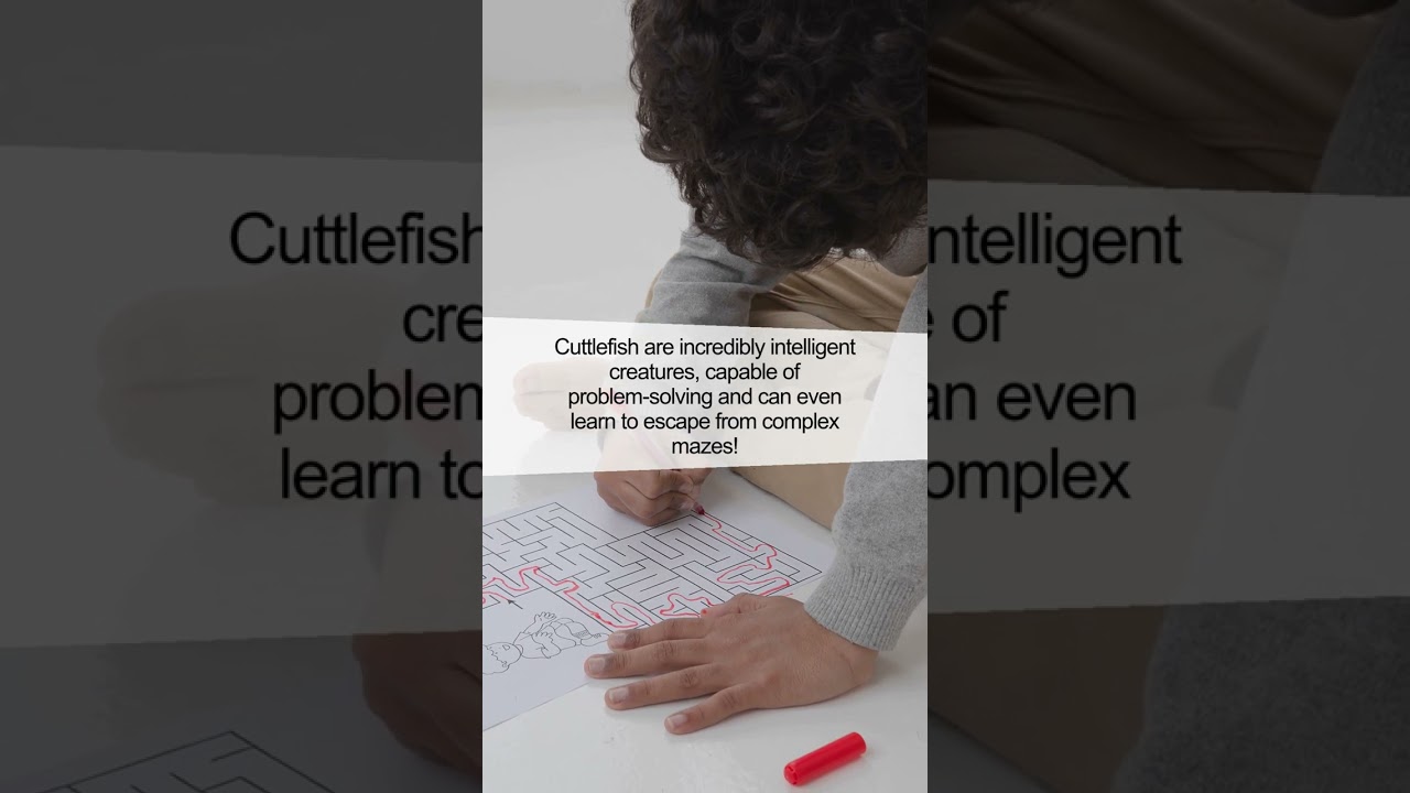 Discover the Amazing World of Cuttlefish Intelligence!