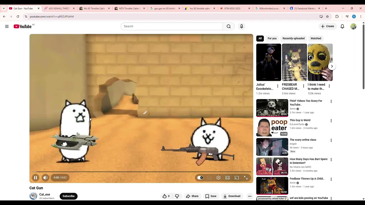 rating cat exe (my hater)