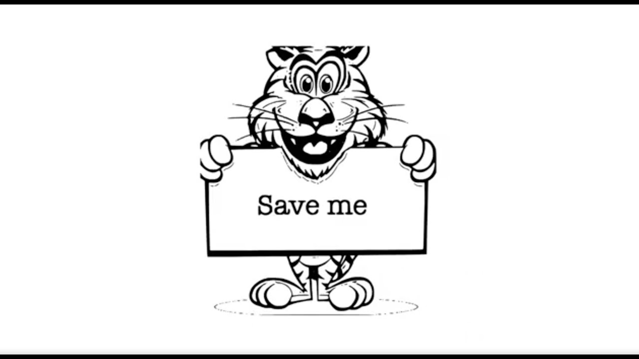 How to draw save tigers pencil drawing step by step