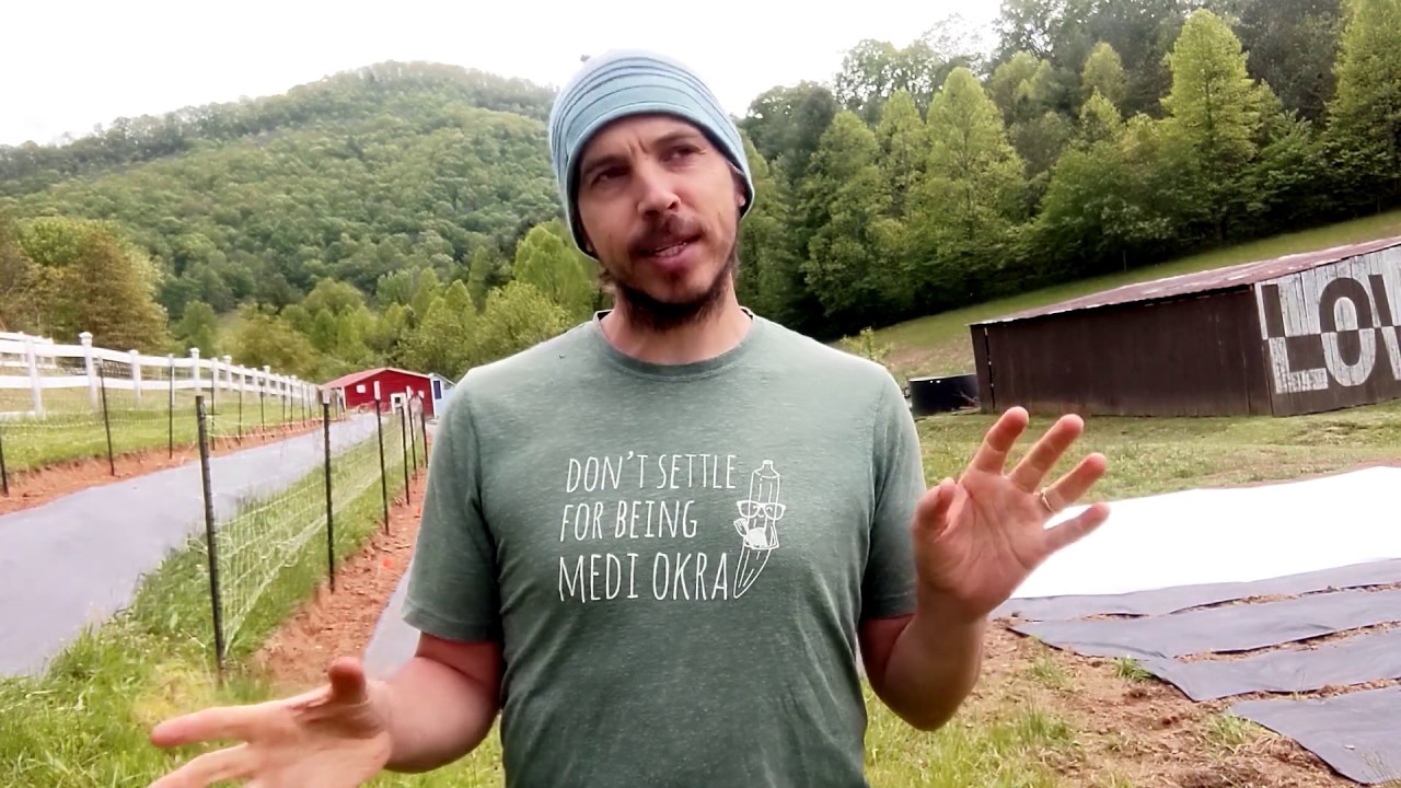 Welcome to The Utopian Seed Project