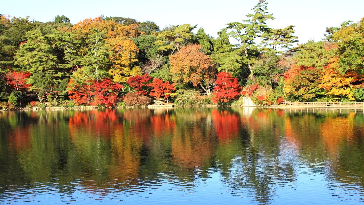 再度公園・修法ヶ原池の紅葉！