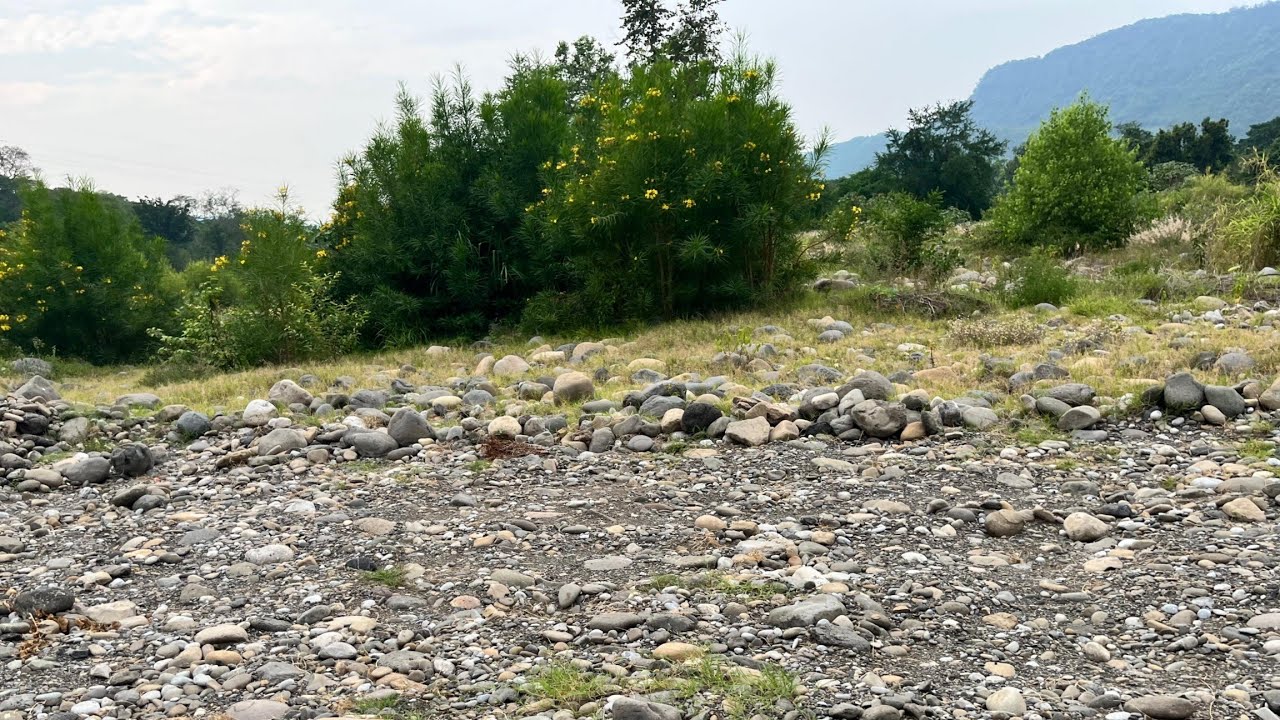Se Secó El Río De Atlapexco, Hidalgo? Así Se Encuentra Actualmente!!!🌳