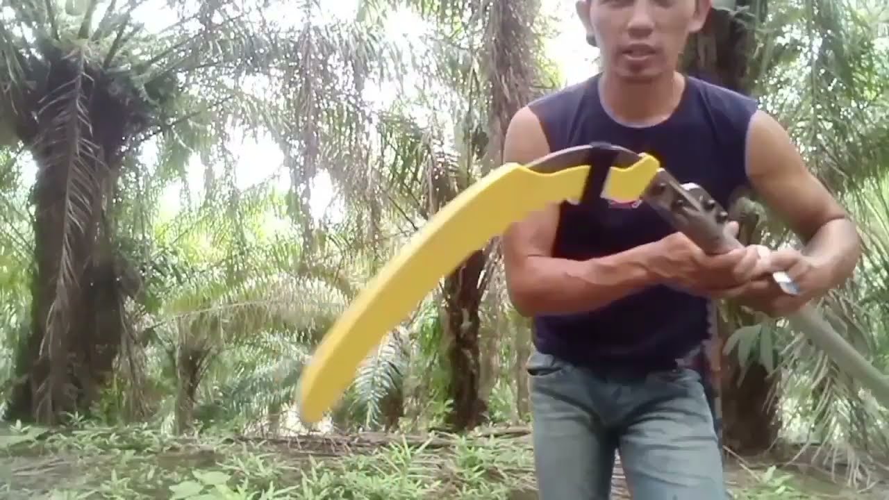 Egrek sbl G222 pro, sangat cocok buat pruning klp sawit
