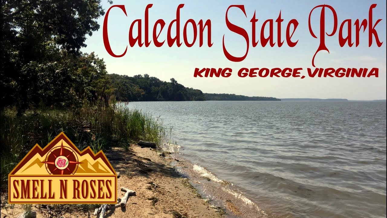 Hiking Caledon State Park, Virginia