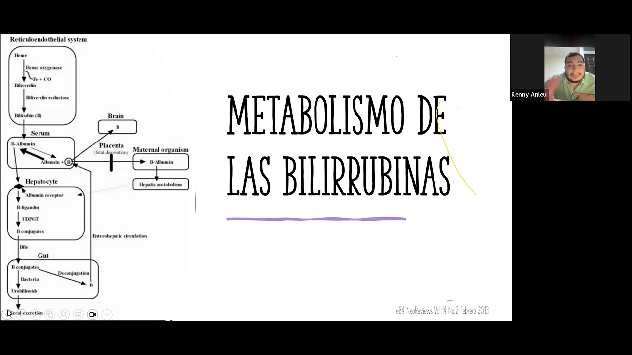 SESION -  Hiperbilirrubinemia su presentación y generalidades