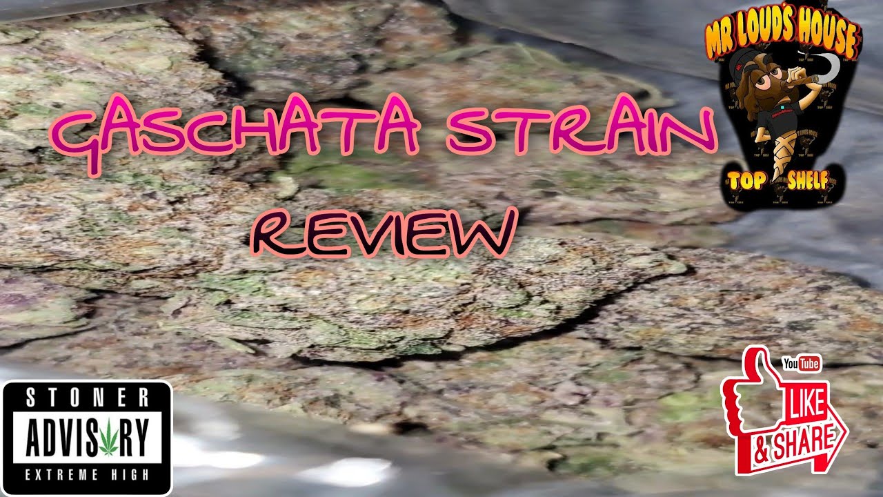 Gaschata from Detroit Strain Review | Short Video