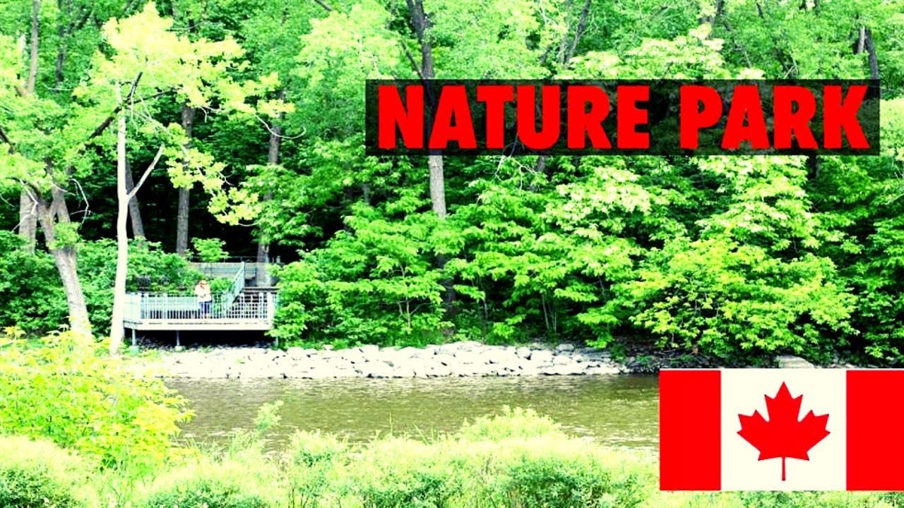 NATURE PARK,