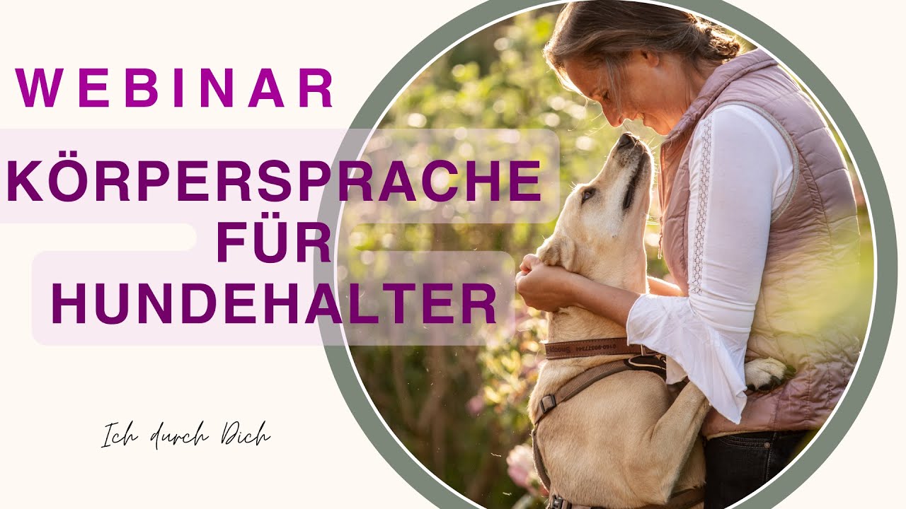 WEBINAR - Körpersprache für HUNDEHALTER