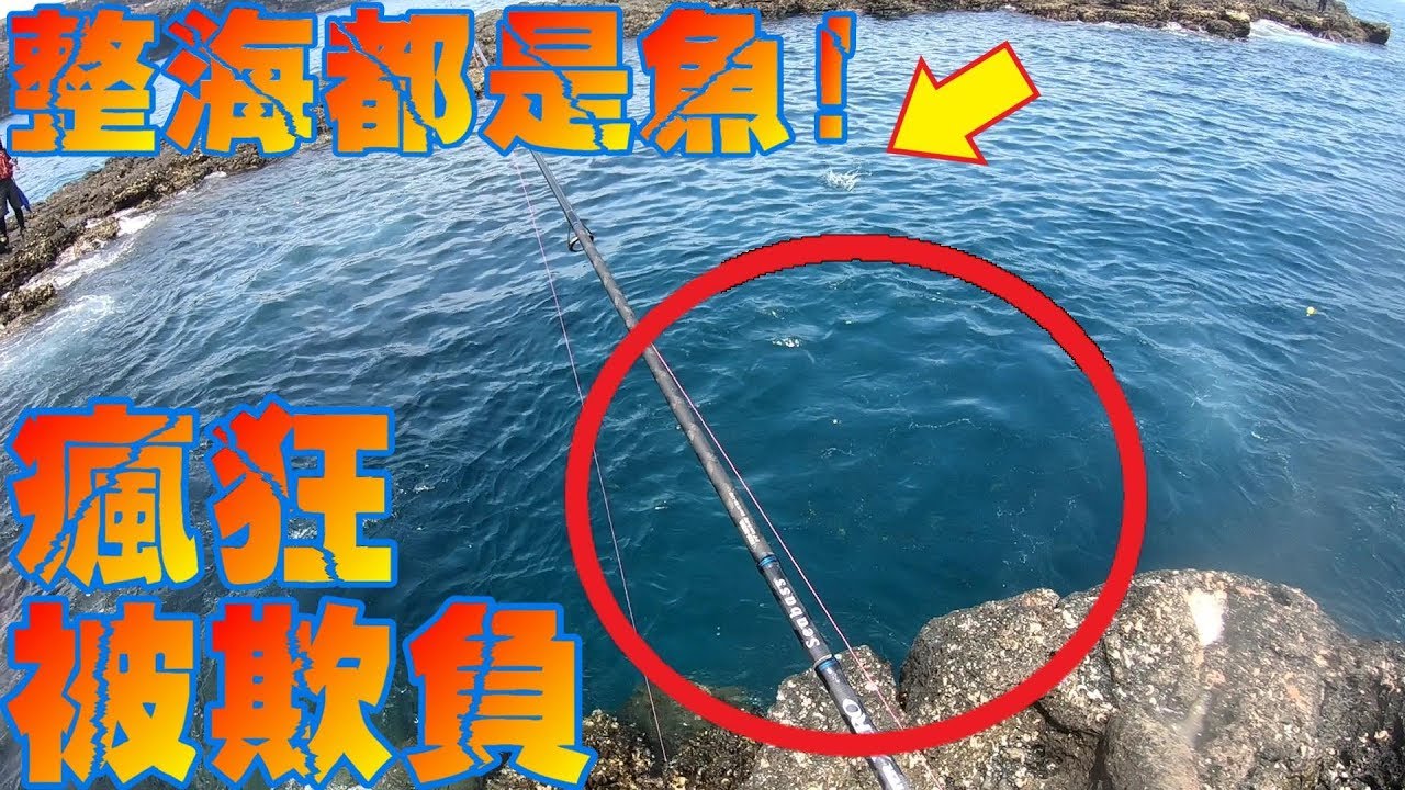 離島で瘋狂爆線!釣到好多沒看過的魚!不能小看這大漁絕境!ㄧOn a remote island in Taiwan