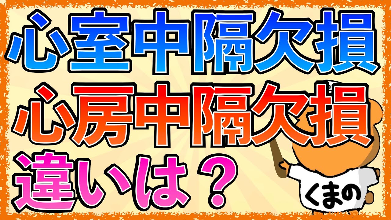イラストで学ぶ医学！「心房中隔欠損と心室中隔欠損の違いとは？」肺動脈拡大や右室拡大が見られる理由とは？