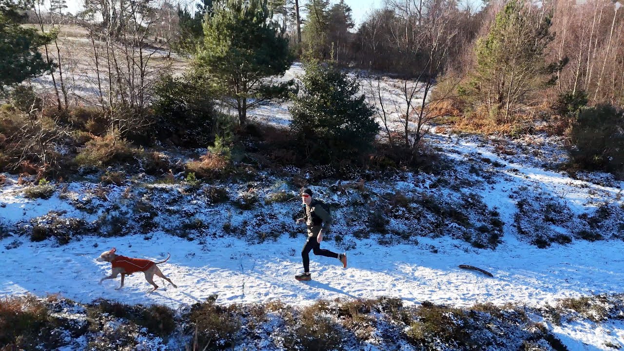2026-01-03 Leith Hill Loop