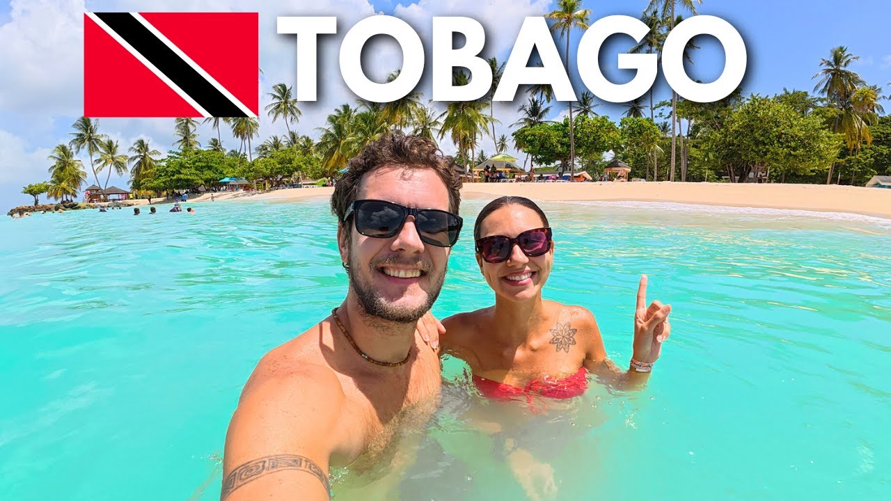 ТОБАГО | ЖЕМЧУЖИНА КАРИБСКОГО МОРЯ! 🇹🇹