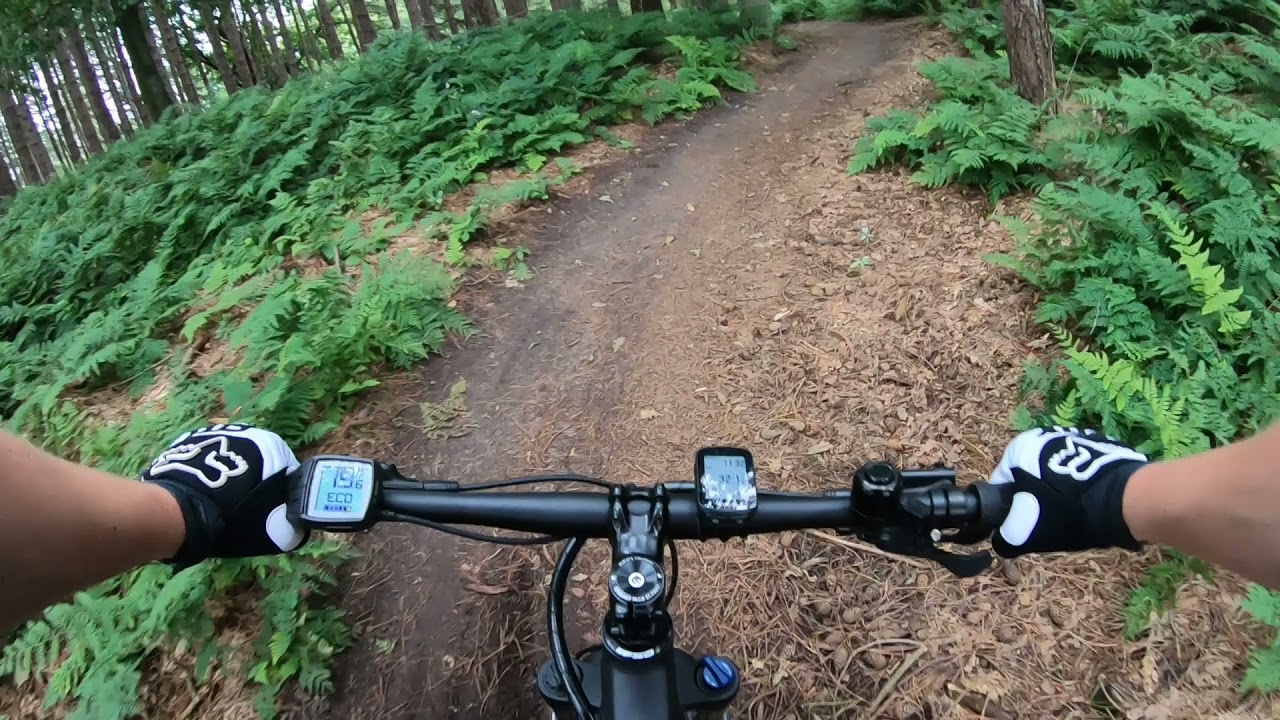 FIRST TIME WITH MY NEW E-MOUNTAINBIKE | BERGAMONT E-REVOX SPORT 2020