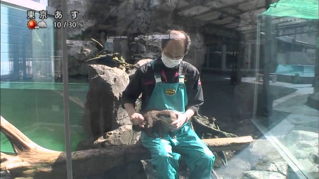【TV】 UP! 2011 04 25 特集…巨大水族館の舞台裏に密着!普段は見られない夜の顔も…新人女性飼育員の奮闘 ［1024x576 DivX6 9 2］
